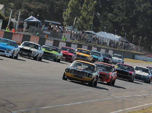 About Us – Euromarque Motorsport Park – Ruapuna